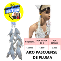 AROS PASCUENSE DE PLUMA